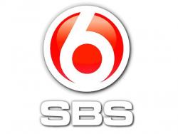 
 Huzen bald auf SBS 6 
 