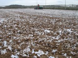 Verbetering bodem rijbak