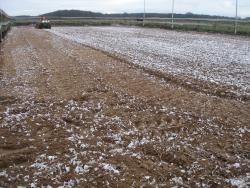Verbetering bodem rijbak